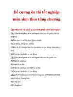 Đề cương ôn thi tốt nghiệp môn sinh theo từng chương Các nhân tố chi phối quá trình phát sinh loài người_1 pot