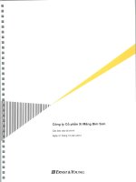 công ty cổ phần xi măng bỉm sơn báo cáo tài chính 31 tháng 12 năm 2012