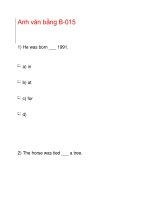 Anh văn bằng B-015 pot