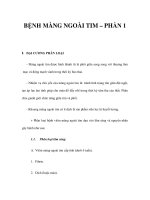 BỆNH MÀNG NGOÀI TIM – PHẦN 1 pptx