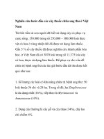 BÁO CÁO KHOA HỌC: 