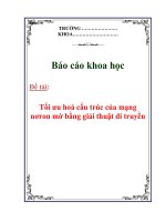 Báo cáo nghiên cứu khoa học: Tối ưu hoá cấu trúc của mạng nơron mờ bằng giải thuật di truyền ppsx
