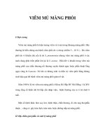 VIÊM MỦ MÀNG PHỔI pps