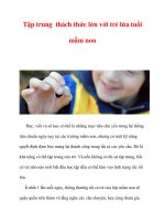 Tập trung thách thức lớn với trẻ lứa tuổi mầm non pps