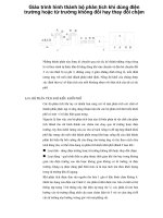 Giáo trình hình thành bộ phân tích khí dùng điện trường hoặc từ trường không đổi hay thay đổi chậm p1 pot