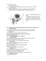 ĐIỆN QUANG THẦN KINH part 3 docx