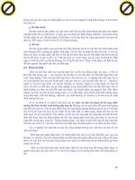 Giáo trình giải thích phần protein của khẩu phần không bị phân giải ở dạ cỏ nhưng được tiêu hóa ở ruột trong PDIA p3 pps