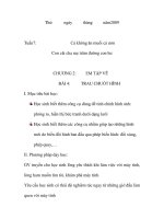 GIÁO ÁN MÔN TIN HỌC EM TẬP VẼ TRAU CHUỐT HÌNH pdf