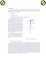 Giáo trình giải thích phần protein của khẩu phần không bị phân giải ở dạ cỏ nhưng được tiêu hóa ở ruột trong PDIA p9 ppt