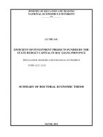 tóm tắt tiếng anh  hiệu quả dự án đầu tư bằng vốn ngân sách nhà nước trên địa bàn tỉnh bắc giang