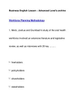 Business English Lesson – Advanced Level''''s archiveWorkforce Planning Methodology pptx