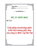 Để án môn học : Giải pháp marketing phát triển thị trường giầy dép của công ty Biti’s tại Hà Nội docx