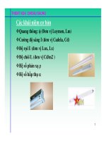Điện công nghiệp - Thiết kế chiếu sáng pps