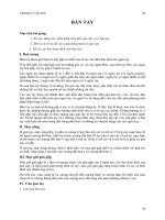 CHI TRÊN - BÀN TAY ppt