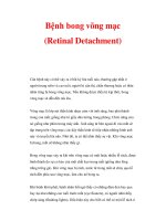 Bệnh bong võng mạc (Retinal Detachment) pps