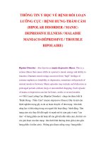 THÔNG TIN Y HỌC VỀ BỆNH RỐI LOẠN LƯỠNG CỰC / BỆNH HƯNG-TRẦM CẢM (BIPOLAR DISORDER / MANICDEPRESSIVE ILLNESS / MALADIE MANIACO-DÉPRESSIVE / TROUBLE BIPOLAIRE) pps