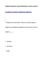 English Grammar Tests-Elementary Level''''s archiveVocabulary Practice pptx