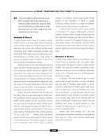 English to the Max_07 ppsx