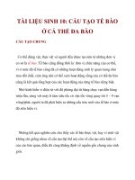 TÀI LIỆU SINH 10: CẤU TẠO TẾ BÀO Ở CÁ THỂ ĐA BÀO pps