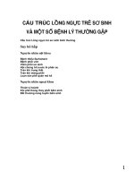 C U TRÚC LỒNG NGỰC TRẺ SƠ SINH pptx