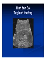 Chẩn đoán bằng hình ảnh : Siêu âm bụng part 5 doc