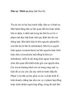 Dân sự / Hình sự pháp luật Hoa Kỳ pps