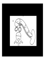 Giải phẫu tụy part 7 docx