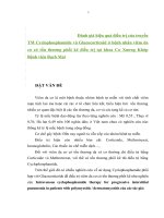 Đánh giá hiệu quả điều trị của truyền thương mại cyclophosphamide và glucocorticoid ở bệnh nhân viêm da cơ có tổn thương phổi kẽ điều trị tại khoa cơ xương khớp bệnh viện bạch mai