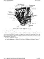 Phẫu thuật miệng part 3 potx