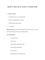 BỆNH LÝ THỰC QUẢN- DẠ DÀY- TÁ TRÀNG & HP pptx