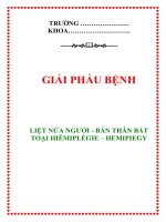 LIỆT NỬA NGƯỜI - BÁN THÂN BẤT TOẠI HIÉMIPLÉGIE – HEMIPIEGY ppsx