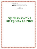 SỰ PHÂN CẮT và SỰ TẠO BA LÁ PHÔI ppsx