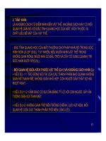 Bài giảng KIẾN TRÚC CẢNH QUAN part 5 ppt