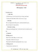 Giáo án chương trình mới: Lớp Chồi Đề tài: Bé yêu rau củ quả Đối pptx