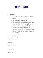 RUNG NHĨ pptx