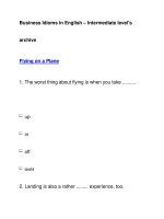 Business Idioms in English – Intermediate level''''sarchiveFlying on a Plane pdf