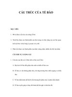 CẤU TRÚC CỦA TẾ BÀO ppt