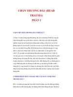 CHẤN THƯƠNG ĐẦU (HEAD TRAUMA) PHẦN I potx