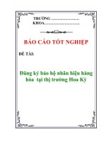 Báo cáo tốt nghiệp: Đăng ký bảo hộ nhãn hiệu hàng hóa tại thị trường Hoa Kỳ ppt