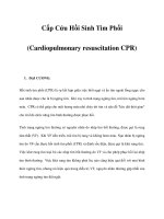 Cấp Cứu Hồi Sinh Tim Phổi (Cardiopulmonary resuscitation CPR) pdf
