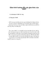 Giáo trình hướng dẫn các giao thức của OSPF phần 1 doc