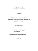 Nghiên cứu rủi ro về sử dụng đền bù và việc làm của hộ nông dân bị thu hồi đất giao cho khu công nghiệp phố nối hưng yên