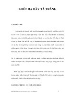 LOÉT DẠ DÀY TÁ TRÀNG potx