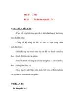 Giáo án chương trình đổi mới Chủ đề Đề tài: TẾT : Xé dán hoa ngày tết doc