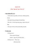 Giáo án chương trình đổi mới Chủ đề : TẾT Đề tài : Nghe hát “Ngày Tết đến rồi” pdf