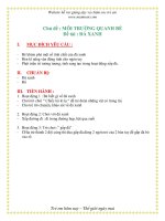 Giáo án chương trình mới: Lớp Chồi Chủ đề : MÔI TRƯỜNG QUANH BÉ Đề tài : ĐÁ XANH doc