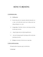RĂNG VÀ BỘ RĂNG pps