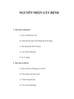 NGUYÊN NHÂN GÂY BỆNH doc