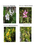 Bộ đậu part 4 doc