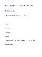 Business English Lesson – Advanced Level''''s archiveCredit Card Holders potx